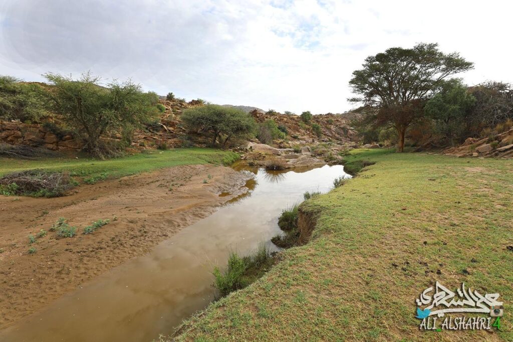 لقاء رمضاني بعنوان ( من العادات والتقاليد الرمضانية في موروثنا )